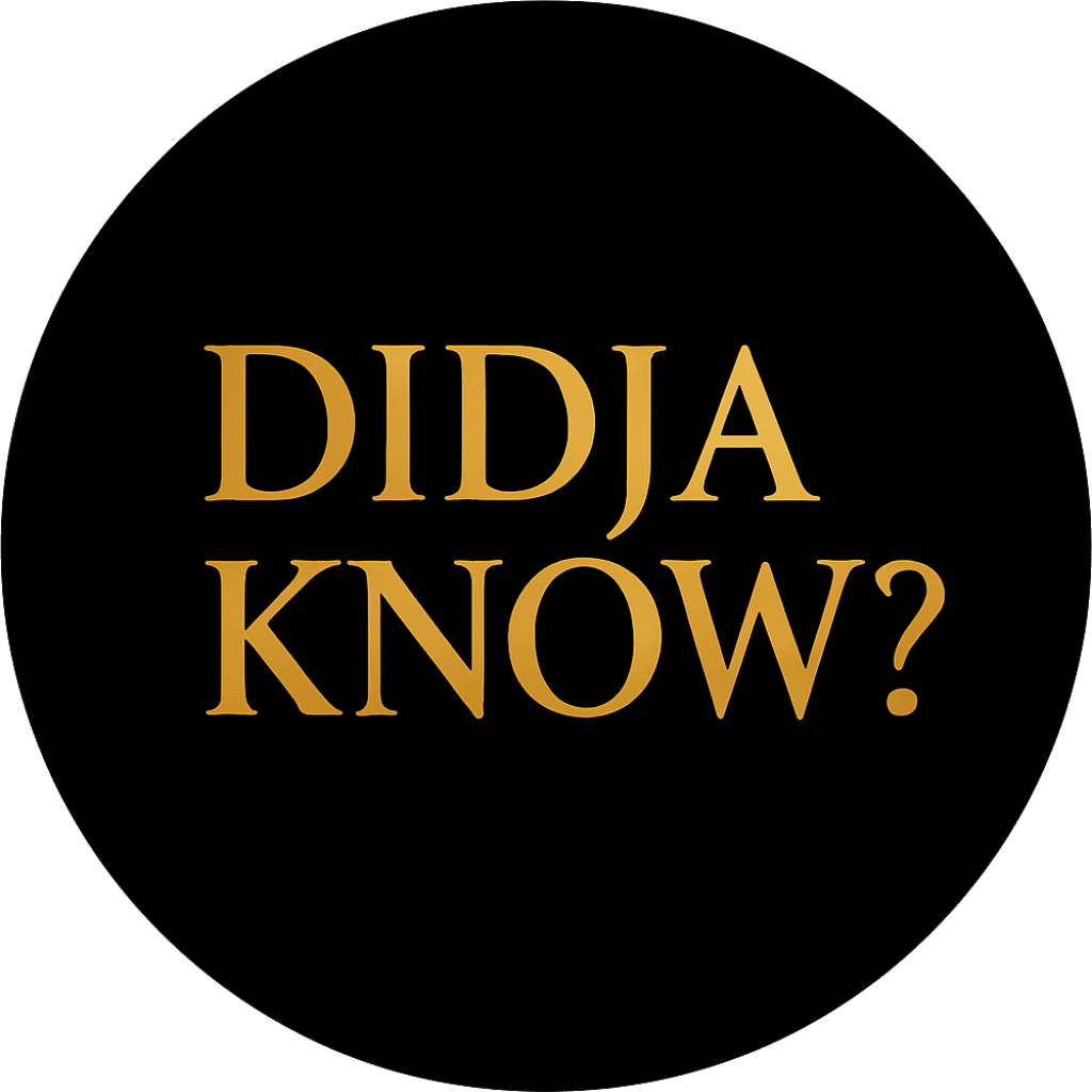 DidjaKnow Media logo